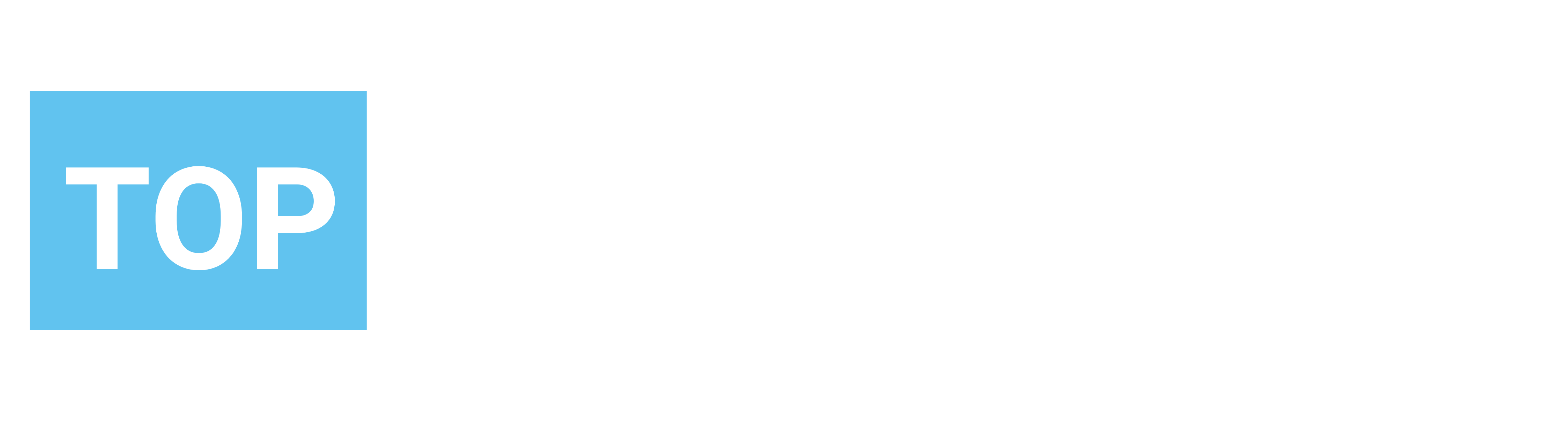 Top Executive Hunt Inc. - Free Directory of Recruiters and Executive Search Firms